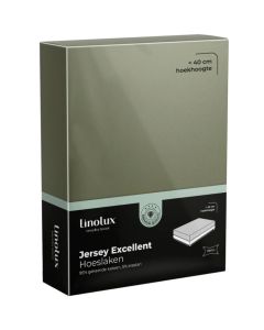 Jersey Excellent